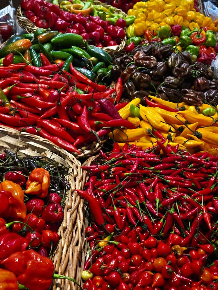 African Food Export Showcase